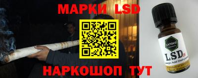 шишки Гусиноозёрск
