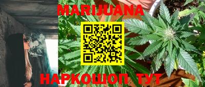 шишки Гусиноозёрск