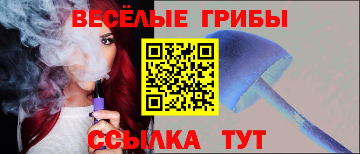 Галлюциногенные грибы MAGIC MUSHROOMS  Вход с VPN  Междуреченск 